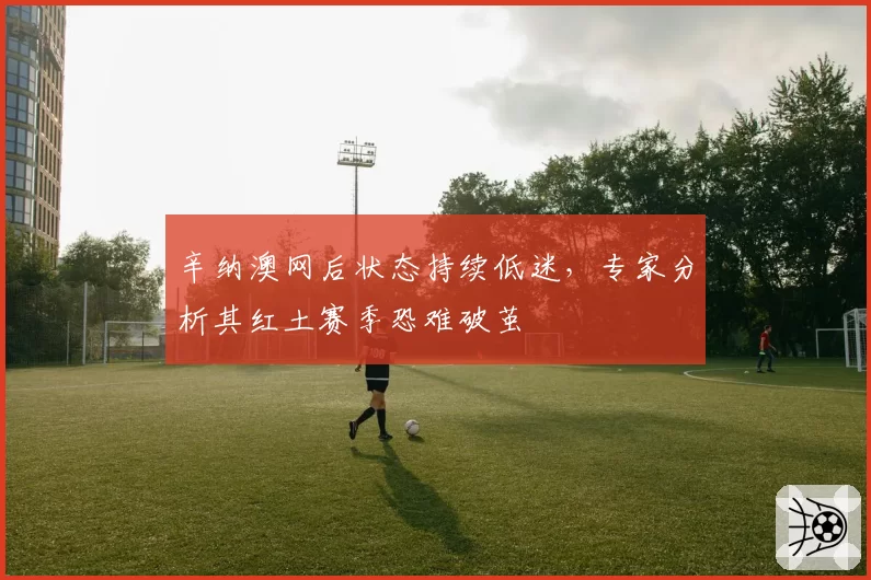 辛纳澳网后状态持续低迷，专家分析其红土赛季恐难破茧
