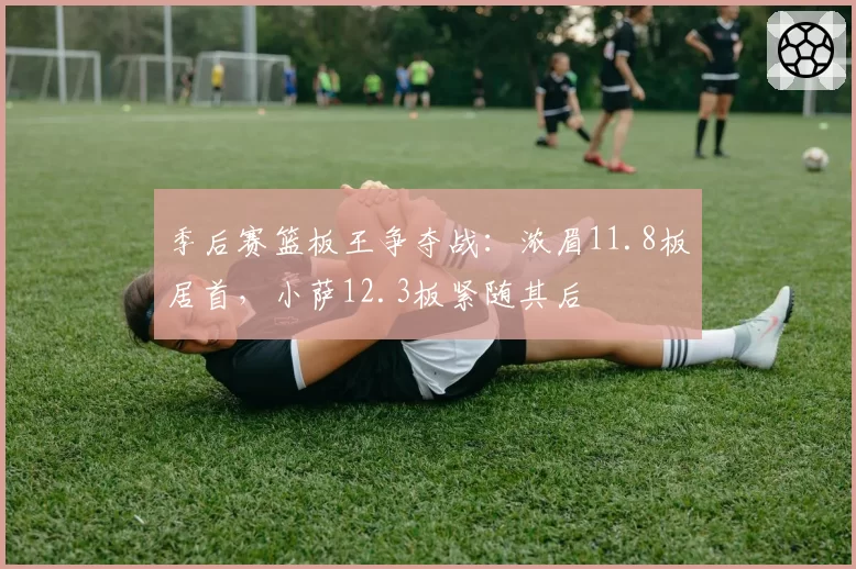 季后赛篮板王争夺战：浓眉11.8板居首，小萨12.3板紧随其后