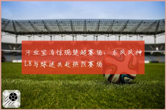 汗血宝马惊现楚超赛场，东风风神L8与球迷共赴热烈赛场
