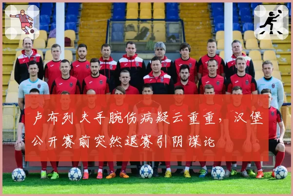 卢布列夫手腕伤病疑云重重,汉堡公开赛前突然退赛引阴谋论