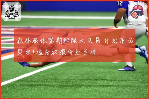 森林狼休赛期酝酿大交易 计划用戈贝尔+选秀权报价杜兰特