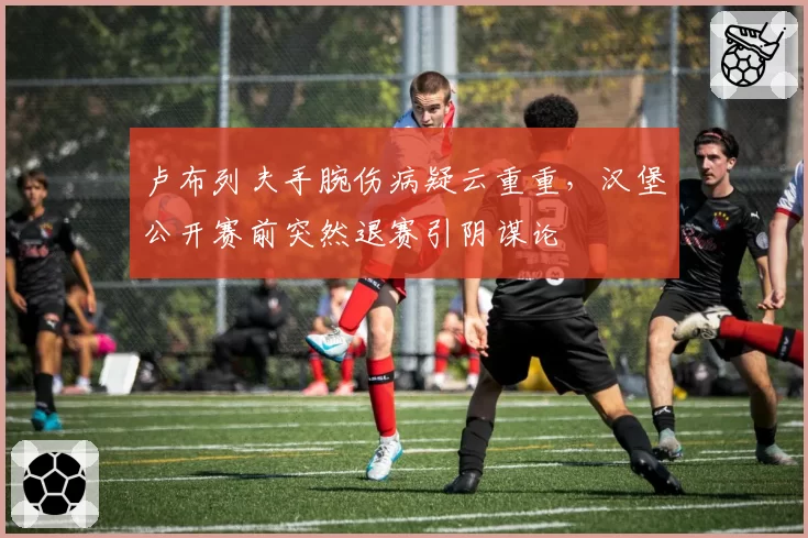 卢布列夫手腕伤病疑云重重，汉堡公开赛前突然退赛引阴谋论